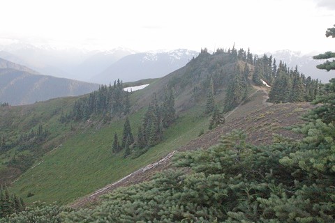 (This photo was taken during a perfect day).