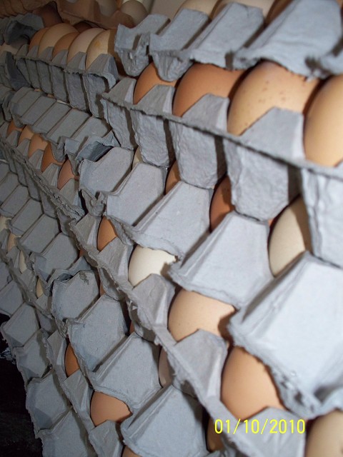 A ministry of eggs
