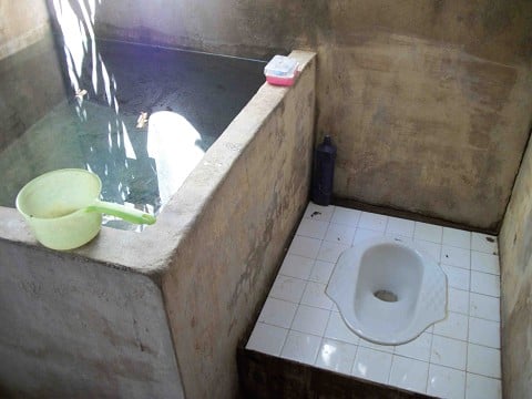 From alysahalteman.theworldrace.org