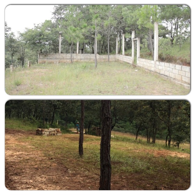 Before & After at our demolition site (photo cred: Paola Antenucci)
