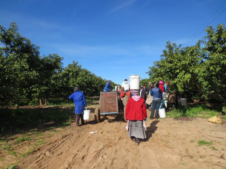  photo 1186912_441767082603644_122287180_n_zpsx7r4oef6.jpg