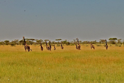 From kaitlynallen.theworldrace.org