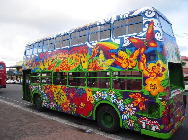 20240_281319147059_513617059_3900400_4808129_n[1]