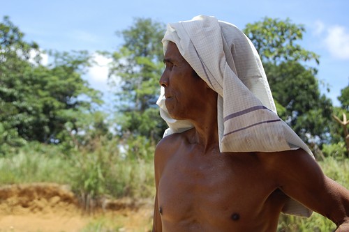 Nothing Screams Jungle More...