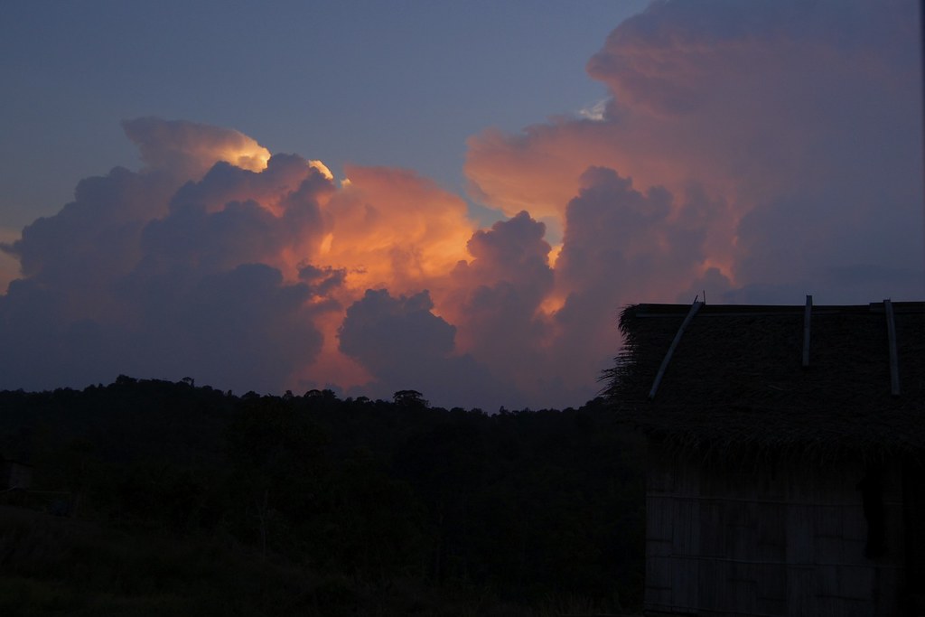 Sunset in the Jungle