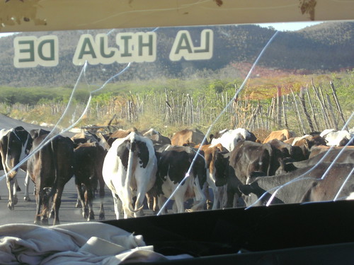 beautiful san rafiel and scenery (4)