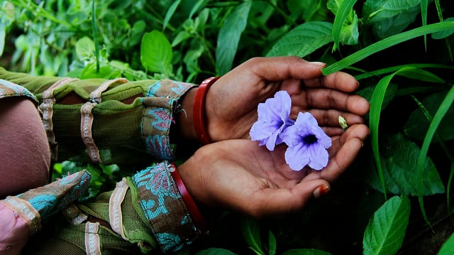 flower