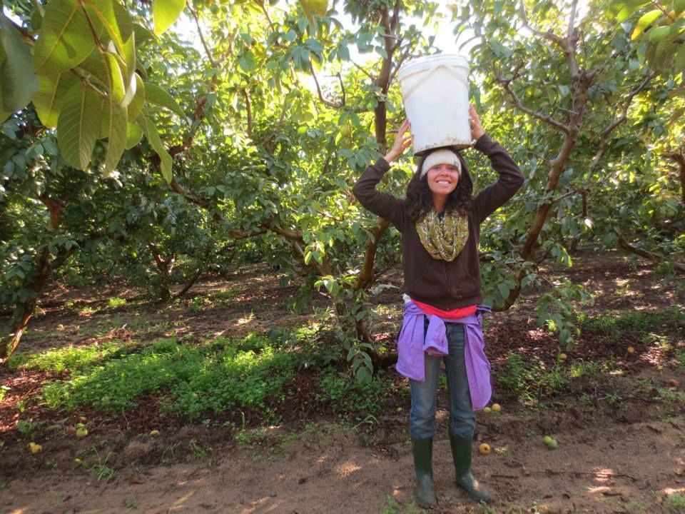  photo 996595_441766852603667_770344696_n_zps8sqewcdu.jpg