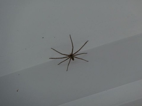 From jessicafischbach.theworldrace.org