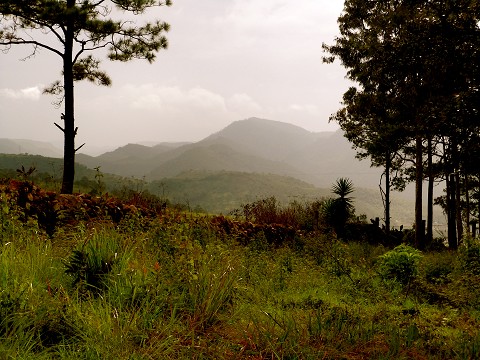 View from the prayer wall