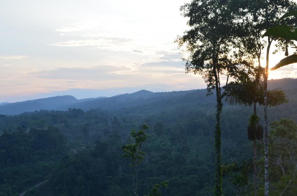 photo DSC_0247_zps5f775c17.jpg