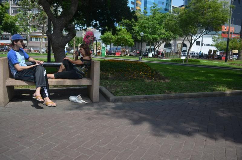  photo DSC_0713_zps9661f4c3.jpg