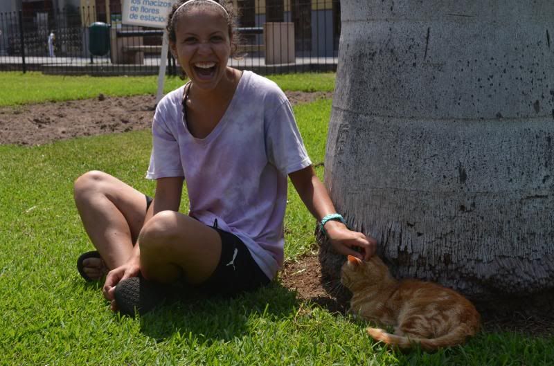  photo DSC_0723_zps3681e809.jpg