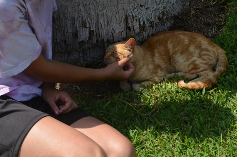  photo DSC_0728_zpsa6cce5a4.jpg