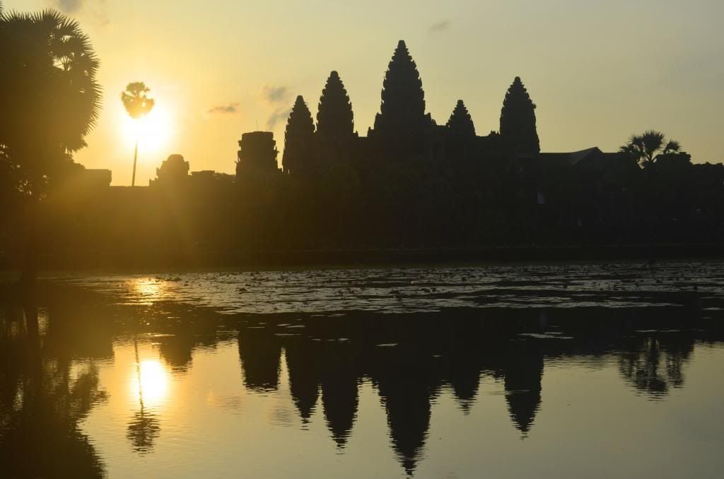 photo DSC_0778_zps064dd7a4.jpg