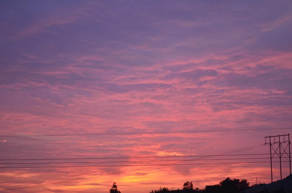  photo DSC_0798_zps401ed941.jpg