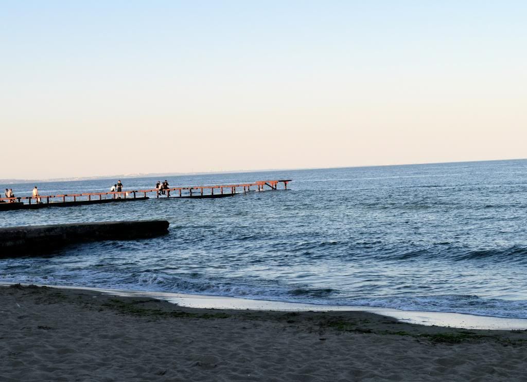 photo DSC_0912-Version2_zpse4e455ea.jpg