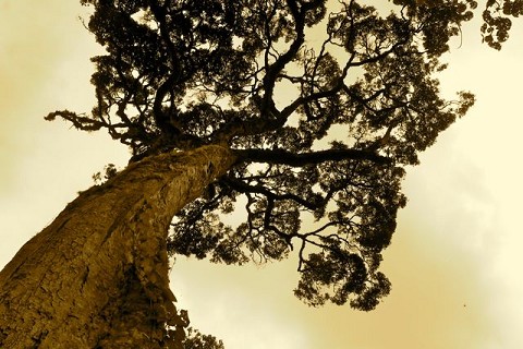 From kaitlynallen.theworldrace.org