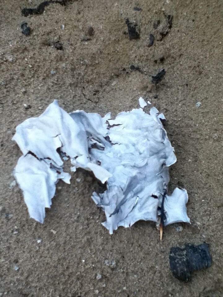  photo IMG_0121_zpsa465720b.jpg