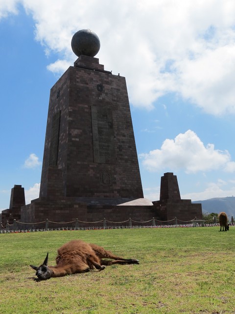 The fake Mita del Mundo and a new llama friend