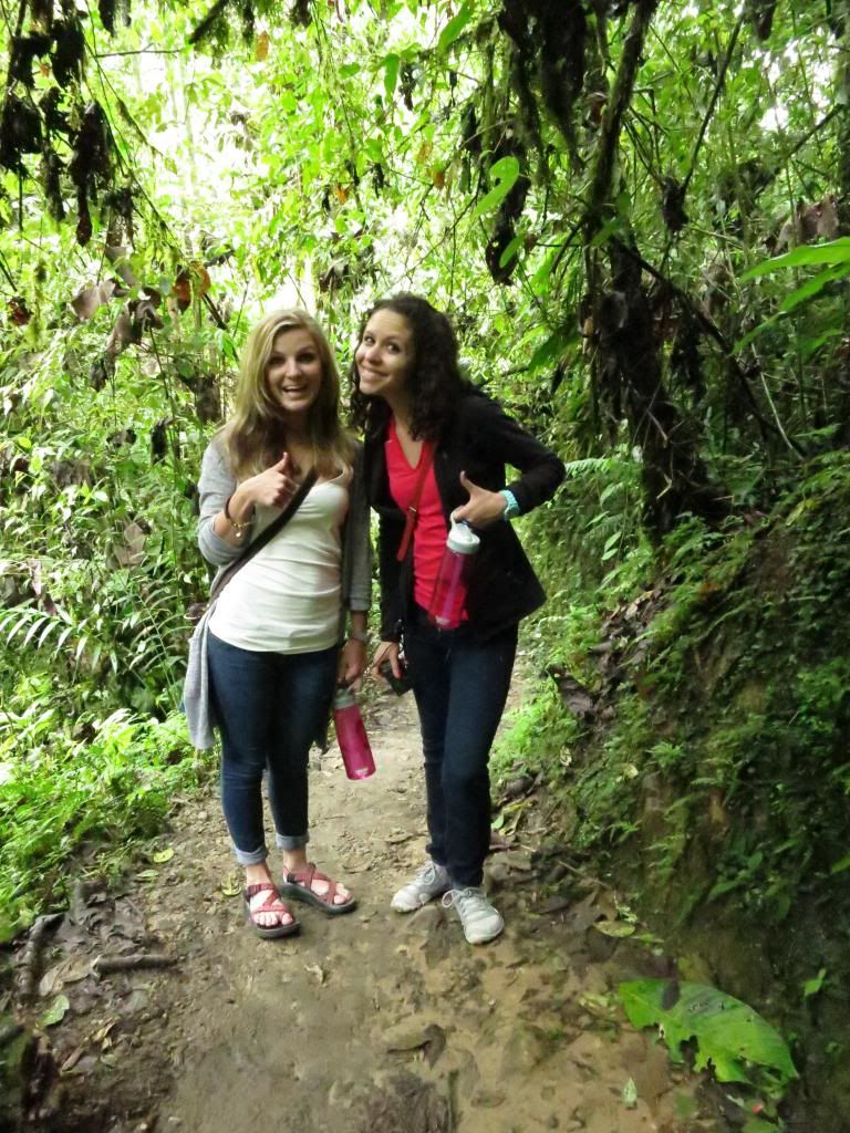 photo IMG_0771_zps7c8f178d.jpg