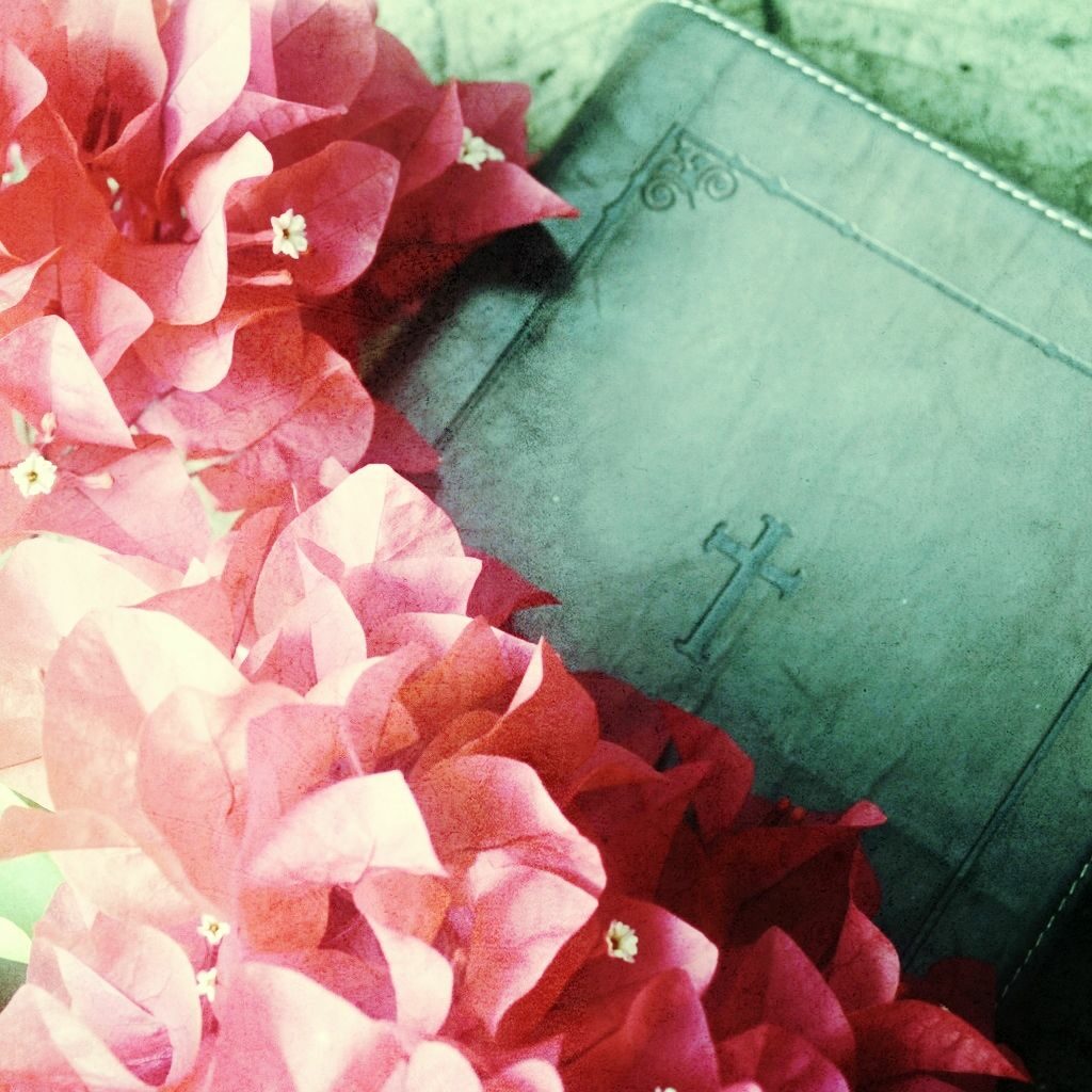  photo IMG_0868_zps4ccde44d.jpg