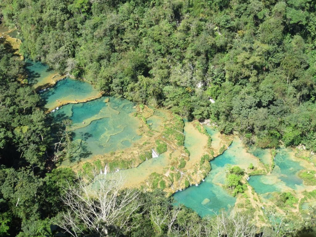  photo IMG_1178_zpsybgw2qiu.jpg