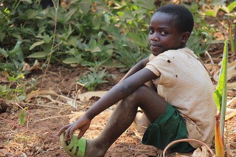 From cieranelson.theworldrace.org