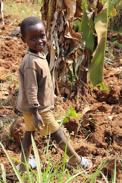 From cieranelson.theworldrace.org