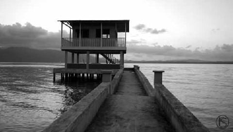 i heard fireworks last night and had to go see them