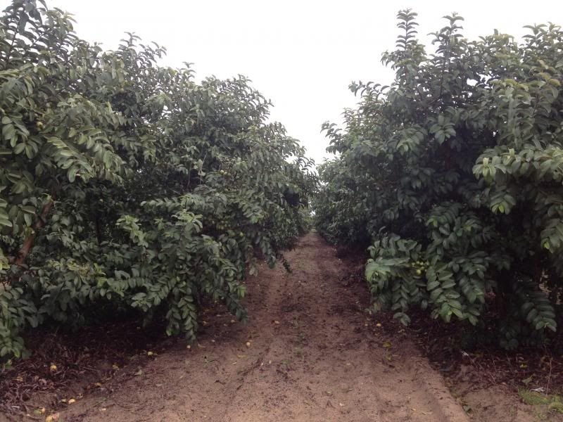  photo IMG_5056_zps0191d0c6.jpg