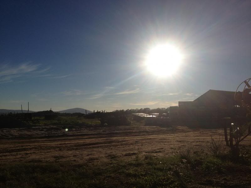  photo IMG_5121_zps5ad35a28.jpg