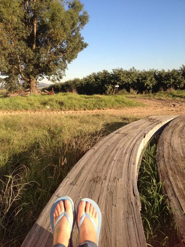  photo IMG_5122_zpsb394520e.jpg