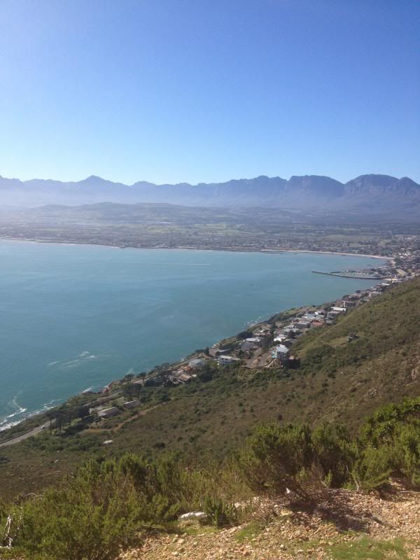  photo IMG_5152_zpsaa946ba0.jpg