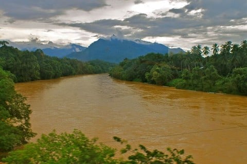 From kaitlynallen.theworldrace.org