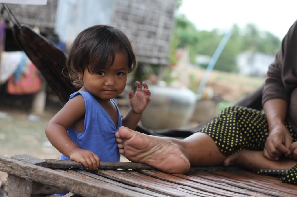  photo IMG_8862_zps052cf8f5.jpg