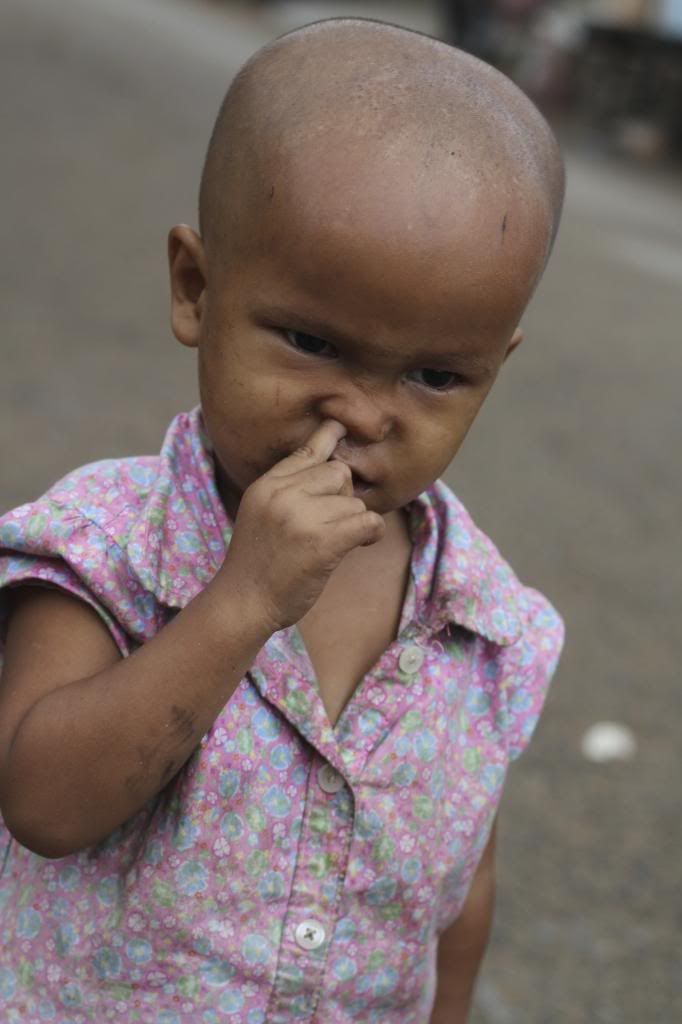  photo IMG_8886_zps88c43f9c.jpg