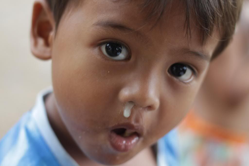  photo IMG_8961_zps0cdccf0e.jpg