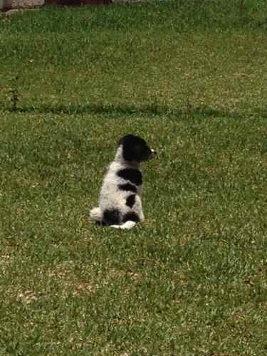 From noerivera.theworldrace.org