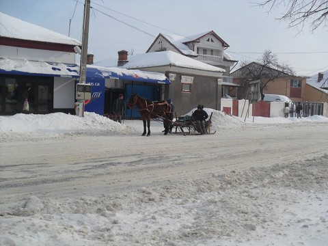 a common site on our street