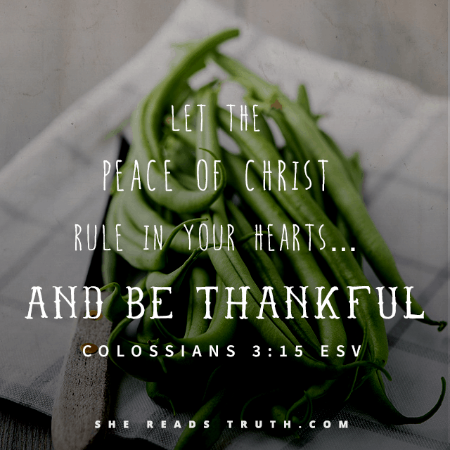 SRT-Thanksgiving_instagram_day12