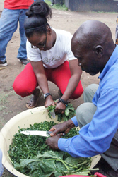 Tafara Cutting Greens