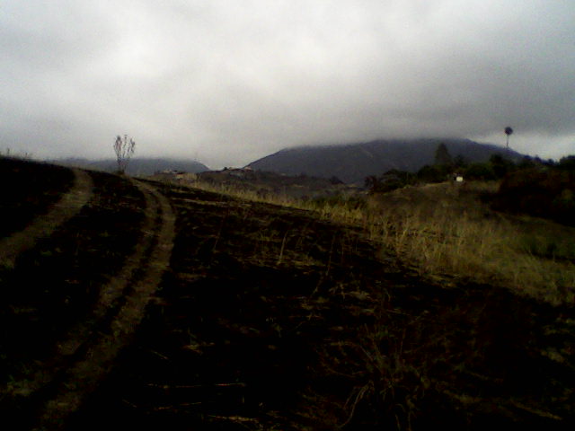 Ashes to Ashes joebunting.theworldrace.org