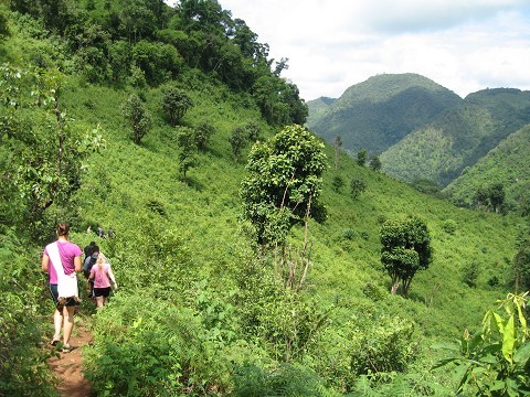 hill country up north!