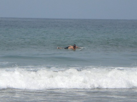 surfing