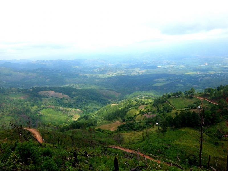 The view from our hike up the Mountain