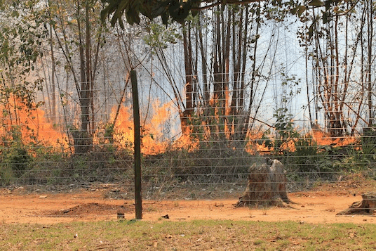 From emilywaito.theworldrace.org