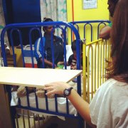 From morganwillett.theworldrace.org