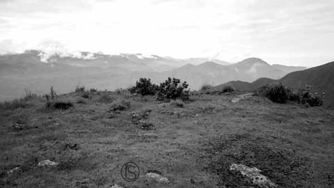 andrew and erin. erin's on the media team with me.