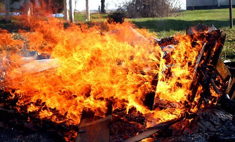 I got paid to do this!